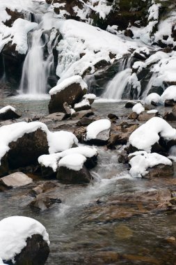 Küçük, aktif bir şelale. Temiz dağ deresi, karlı kış manzarası, vahşi yaşam geçmişi