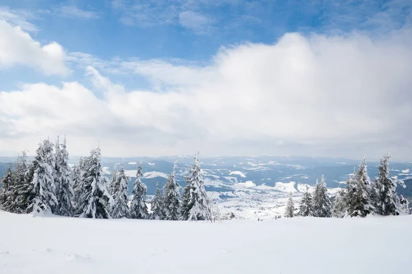 Montagnes des Carpates, Ukraine. Arbres couverts de givre et de neige dans les montagnes d'hiver - Noël fond neigeux — Photo