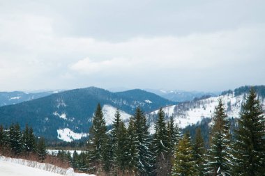Dağın tepesinden, ormandaki donma ve alçak bulut manzarası.