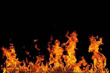 Köye yakın ağaçlık alanda çiçekler açıyor. Çiçeklere yakın çekim.