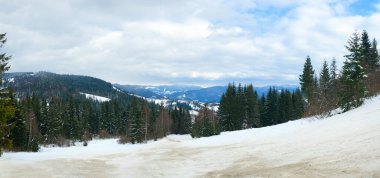Karpat Dağları, Ukrayna. Kış dağlarında karla kaplı ağaçlar - Noel karlı zemin