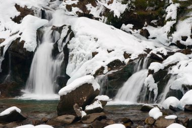 Küçük, aktif bir şelale. Temiz dağ deresi, karlı kış manzarası, vahşi yaşam geçmişi