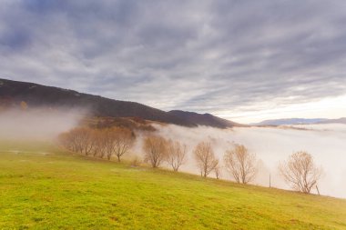 Güzel yaz Karpatları, sabahın erken saatlerinde, gündoğumundan kısa bir süre önce. Dağ sisli vadisinin üzerinde güzel bir gün doğumu. Öndeki çayır tepesinde ağaçlar.