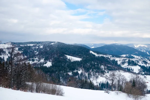 Dağın tepesinden, ormandaki donma ve alçak bulut manzarası.