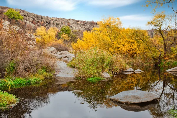 Güzel bir kanyon boyunca akan küçük, harika bir göl. Suda kocaman kapaklar var. Ukrayna.
