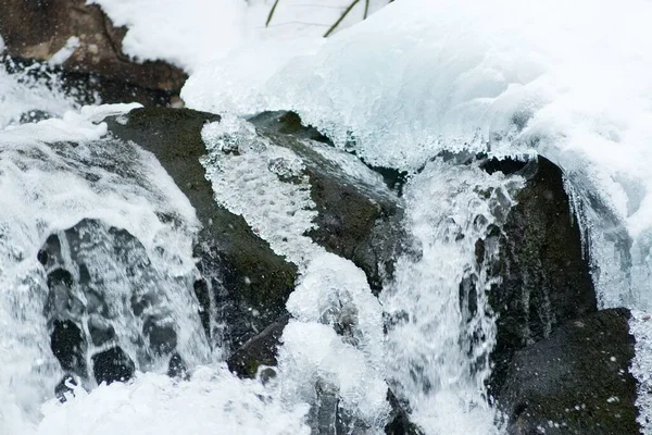 Küçük, aktif bir şelale. Temiz dağ deresi, karlı kış manzarası, vahşi yaşam geçmişi