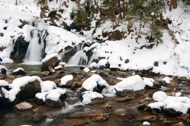 Küçük, aktif bir şelale. Temiz dağ deresi, karlı kış manzarası, vahşi yaşam geçmişi