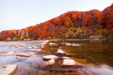Sonbaharda şelalenin manzarası. Sonbahar renklerinde şelale. Sonbahar manzarasında dağ nehri. Ukrayna, Stryj Nehri.
