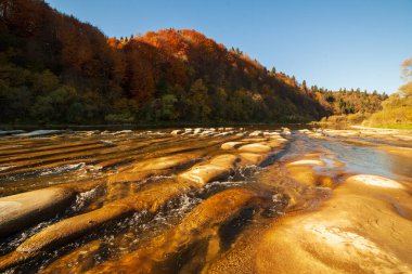 Sonbaharda şelalenin manzarası. Sonbahar renklerinde şelale. Sonbahar manzarasında dağ nehri. Ukrayna, Stryj Nehri.