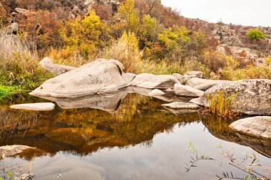 Güzel bir kanyon boyunca akan küçük, harika bir göl. Suda kocaman kapaklar var. Ukrayna.