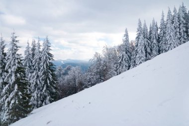 View from the top of mountain on forest in frost and low cloud.
