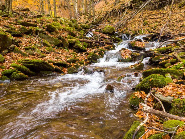 Ukraine. Ein sanfter Bach plätschert um moosbewachsene Felsen, umgeben von Bäumen, die in den Karpaten mit Herbstlaub geschmückt sind. Shypit-Karpaten im Nationalpark. — Stockfoto