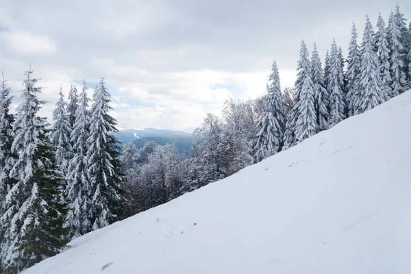 Vue du sommet de la montagne sur la forêt dans le gel et les nuages bas. — Photo