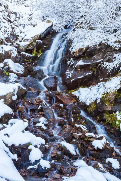 Winter landscape, a small fast stream flows in the forest among the trees, Carpathians, Ukraine. — Photo