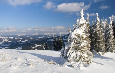 Karpat Dağları, Ukrayna. Dağ zirvelerinin arka planına karşı karla kaplı harika fırtınalar. Resimli karlı kış manzarasının panoramik görüntüsü. Muhteşem ve sakin güneşli bir gün..