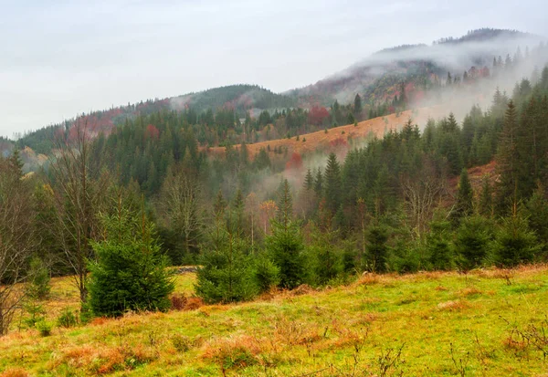 Ukraina, Karpaty. Koniec porannej mgły w jesiennych górach. Krajobraz ze śnieżnymi górami i biegnącą mgłą. — Zdjęcie stockowe