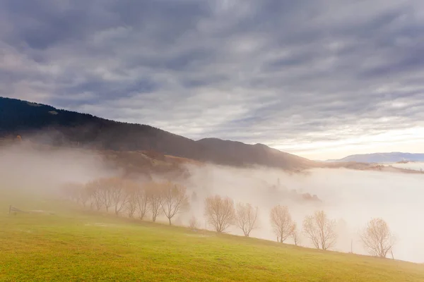 Beautiful summer Carpathians, in the early morning, shortly before sunrise. Beautiful sunrise over a mountain misty valley. Trees on a grassland hill in the foreground. — Photo