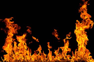 Köye yakın ağaçlık alanda çiçekler açıyor. Çiçeklere yakın çekim.