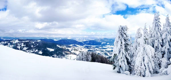 Montagnes des Carpates, Ukraine. De magnifiques sapins enneigés sur fond de sommets montagneux. Vue panoramique sur le paysage hivernal enneigé pittoresque. Superbe et calme journée ensoleillée. — Photo