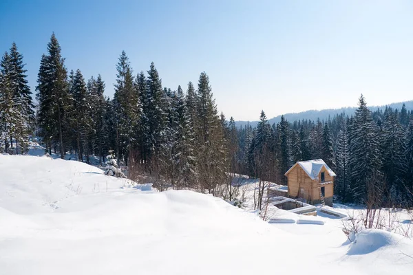 Fondo de invierno maravilla. Día soleado y helado en el bosque de abetos de montaña. Árboles nevados y cielo azul — Foto de Stock