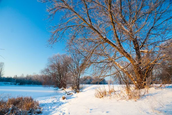 Photo the snow-covered river did not freeze in winter.The river flows in winter. Snow on the branches of trees. Reflection of snow in the river. Huge snowdrifts lie on the Bank of the stream. — стоковое фото