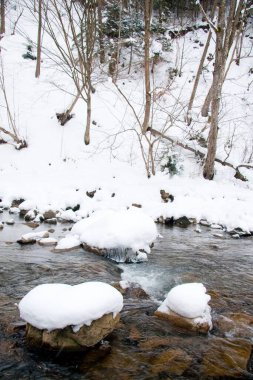 Küçük, aktif bir şelale. Temiz dağ deresi, karlı kış manzarası, vahşi yaşam geçmişi