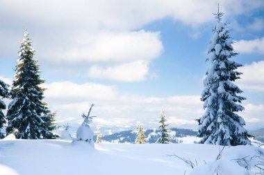 Karpat Dağları, Ukrayna. Dağ zirvelerinin arka planına karşı karla kaplı harika fırtınalar. Resimli karlı kış manzarasının panoramik görüntüsü. Muhteşem ve sakin güneşli bir gün..