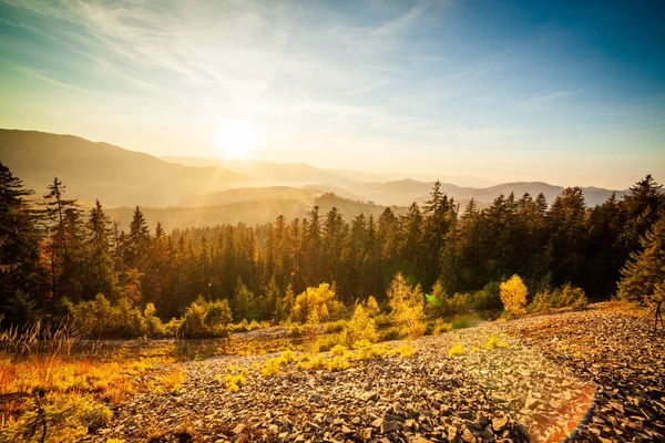 Ukrayna. Harika bir sahne. Dağlı ve bulutlu çok güzel bir kış günbatımı. Güneş ışınları, bulutların kalınlığını aşıyor, etraftaki her şeyi büyülü ışıkla boyuyor. Karpatlar.