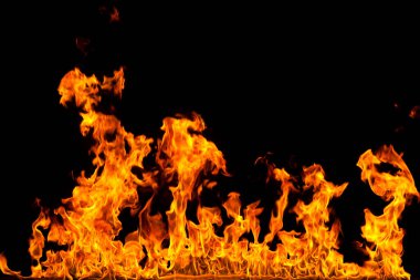 Köye yakın ağaçlık alanda çiçekler açıyor. Çiçeklere yakın çekim.