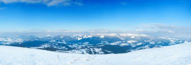 Karpat Dağları, Ukrayna. Dağ zirvelerinin arka planına karşı karla kaplı harika fırtınalar. Resimli karlı kış manzarasının panoramik görüntüsü. Muhteşem ve sakin güneşli bir gün..