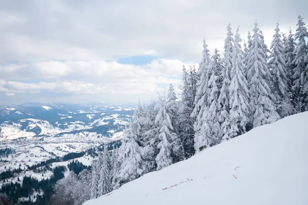 Dağın tepesinden, ormandaki donma ve alçak bulut manzarası.