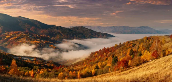 Ucrânia. Um nascer do sol mágico do outono, com névoa rastejando sobre vales, sobre formações montanhosas longe da civilização. Passe Synevyr localizado nas montanhas dos Cárpatos. — Fotografia de Stock