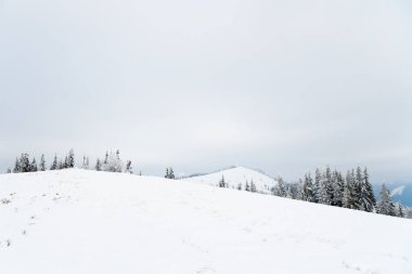 Karpat Dağları, Ukrayna. Güzel kış manzarası. Orman işçisi karla kaplı..