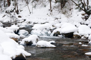 Küçük, aktif bir şelale. Temiz dağ deresi, karlı kış manzarası, vahşi yaşam geçmişi