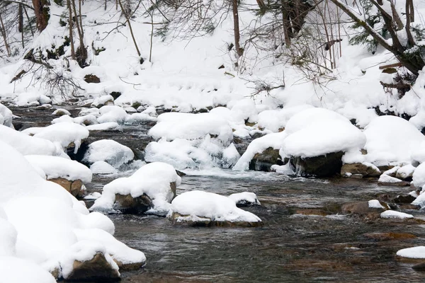 Küçük, aktif bir şelale. Temiz dağ deresi, karlı kış manzarası, vahşi yaşam geçmişi