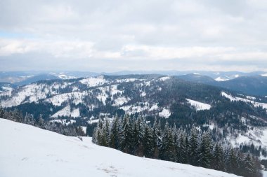 View from the top of mountain on forest in frost and low cloud.