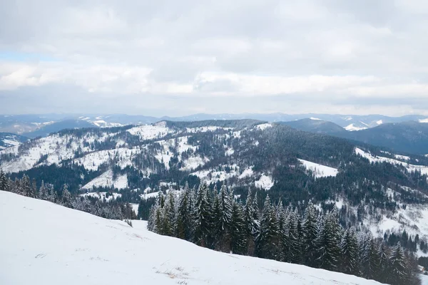 Dağın tepesinden, ormandaki donma ve alçak bulut manzarası.