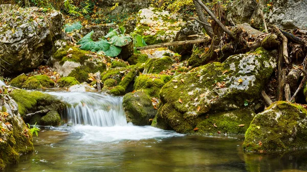 Yaz günü orman suyu hareket bulanıklığı dalgalarıyla