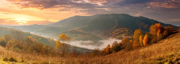 Ukrayna. Büyülü bir sonbahar gündoğumu, vadilerin üzerinde süzülen sis, medeniyetten uzak dağ oluşumları. Synevyr geçidi Karpatya dağlarında..