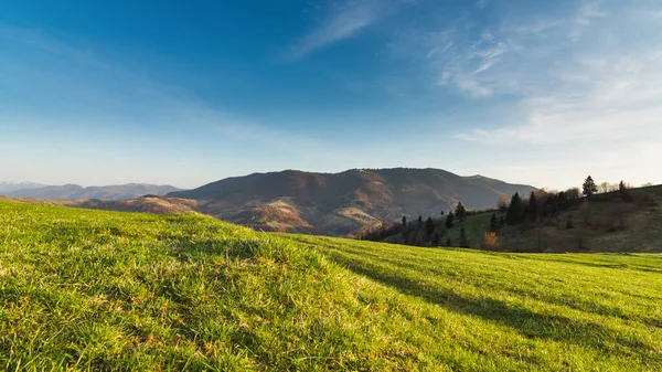 Karpat Dağları, Ukrayna. Gün batımında dağlar. Yaz mevsiminde güzel doğal manzara