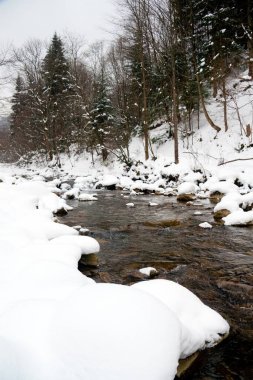 Küçük, aktif bir şelale. Temiz dağ deresi, karlı kış manzarası, vahşi yaşam geçmişi