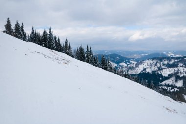 Dağın tepesinden, ormandaki donma ve alçak bulut manzarası.