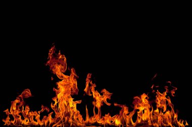 Köye yakın ağaçlık alanda çiçekler açıyor. Çiçeklere yakın çekim.