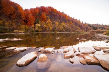 Sonbaharda şelalenin manzarası. Sonbahar renklerinde şelale. Sonbahar manzarasında dağ nehri. Ukrayna, Stryj Nehri.
