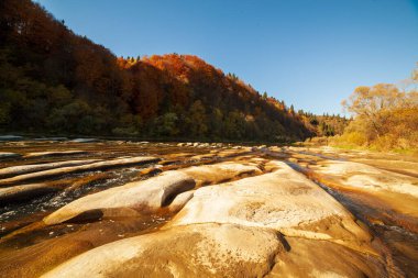 Sonbaharda şelalenin manzarası. Sonbahar renklerinde şelale. Sonbahar manzarasında dağ nehri. Ukrayna, Stryj Nehri.