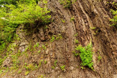 taş doku - katı madde yapısı ve konumu, parçalarının niteliği.