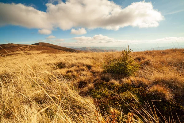 Ukraine, Magura-Jide-Gebirge und blauer Himmel Karpatenlandschaft. Weite offene Wüstenlandschaften des Borzhava-Hochlandes. Pylypten, Nationalpark. — Stockfoto