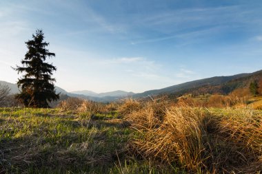 Karpat Dağları, Ukrayna. Gün batımında dağlar. Yaz mevsiminde güzel doğal manzara