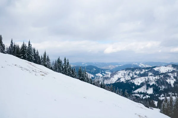 View from the top of mountain on forest in frost and low cloud. — Photo