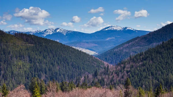 Carpathian mountains, Ukraine. Mountains during sunset. Beautiful natural landscape in the summer time — Stock Photo, Image